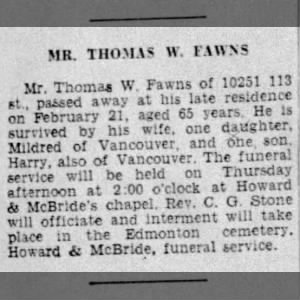 Thomas fawns